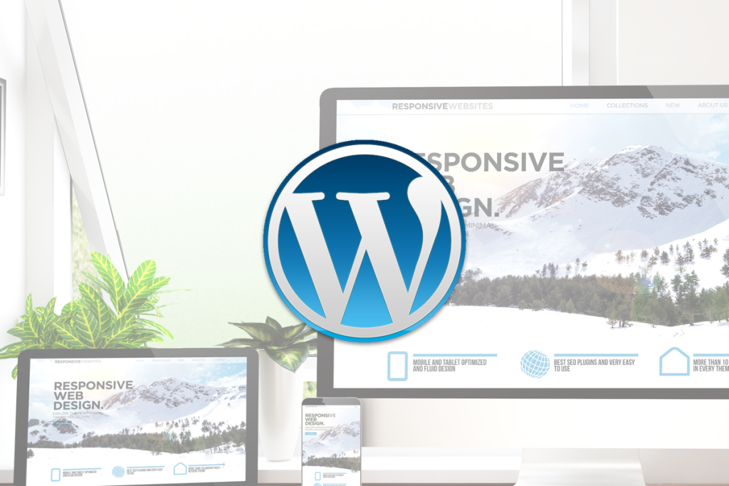 WordPress: Build the Perfect SEO Optimized Website from A-Z!